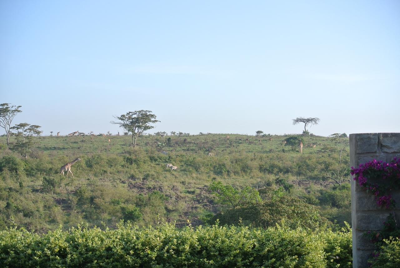 Nyati Hill Cottages Nairobi Kültér fotó